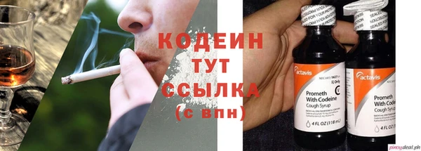 молекула духа Бородино